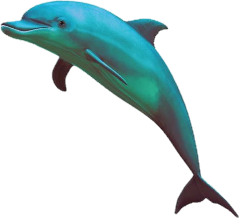 golfinho dolphin vaporwave seapunk tumblr aesthetic...