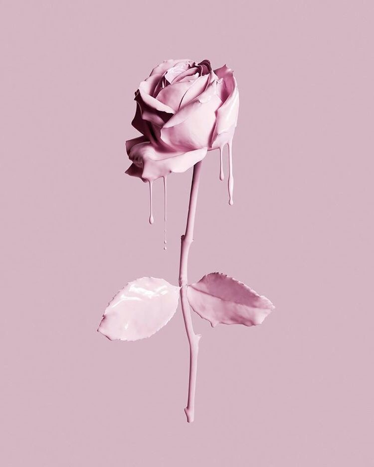pastel rose paint dripping pink aesthetic...