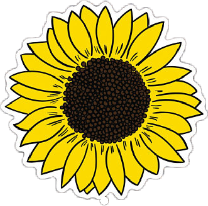 tumblr sunflower - Sticker by Fernanda Stephens H.