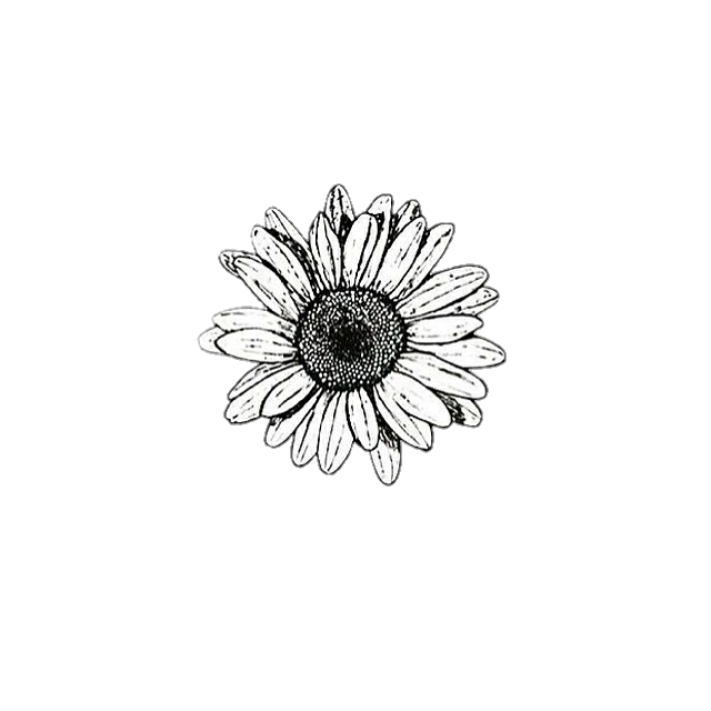 background black white flower cute aesthetic...