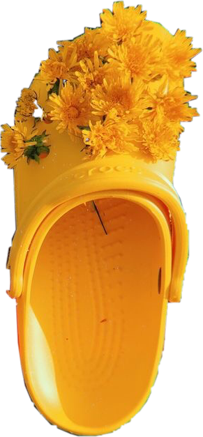crocs with flowers
