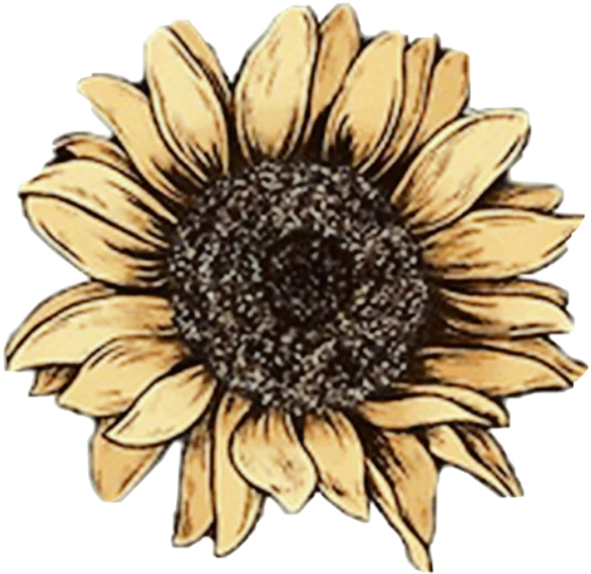 Sunflower Sticker By 𝚊𝚙𝚛𝚒𝚕 𝚠𝚑𝚒𝚝𝚎