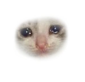 Sad Cat Meme Png Transparent Png Mart My XXX Hot Girl