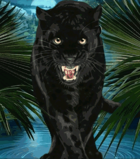 srcpanthers panther blackpanther GIF by 🌙