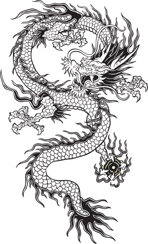 𝔡𝔯𝔞𝔤𝔬𝔫🐉 tumblr dragon chinese aesthetic freetoed&hellip;