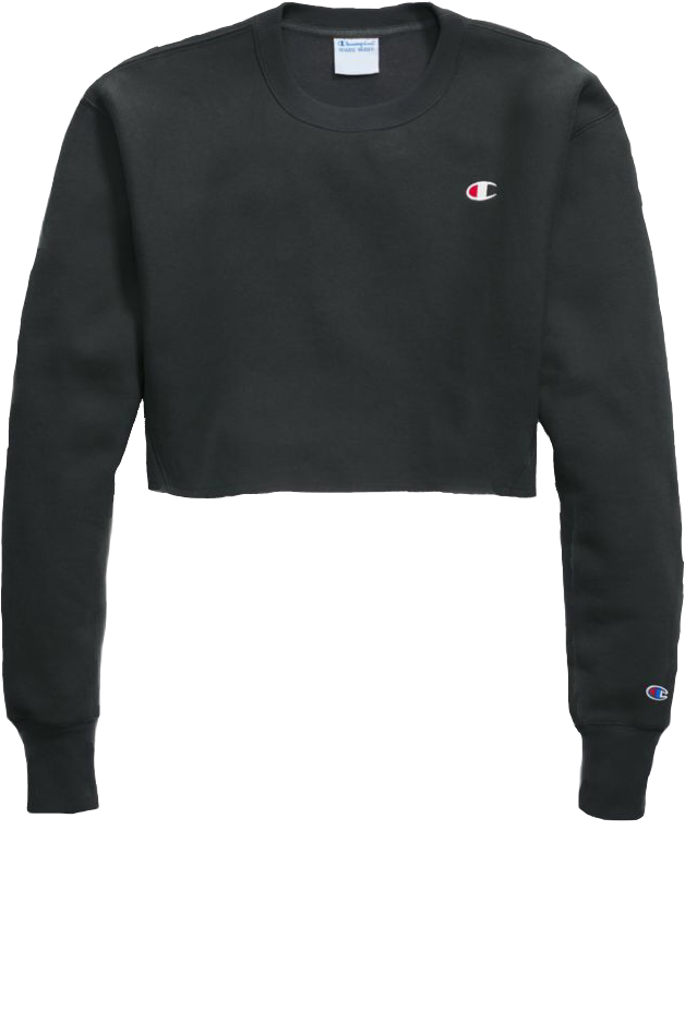 champion sweatshirt tumblr