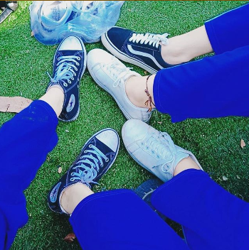 converse or vans for girls