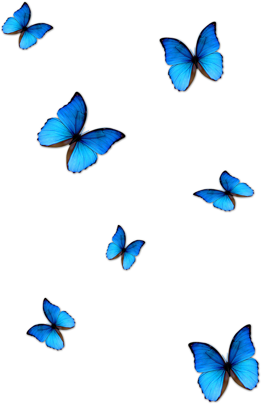 bluebutterfly sticker vsco aesthetic butterflysticker...