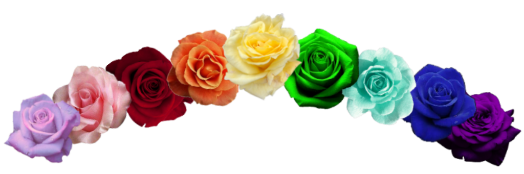 rose flowercrown rainbow crown decorations colorful kpo...