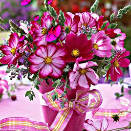 freetoedit pink flowers pot plant butterflies hotpink beautiful