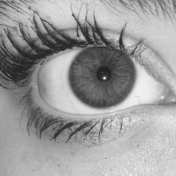 eyelashes eyes blacknwhite pcblackandwhite blackandwhite