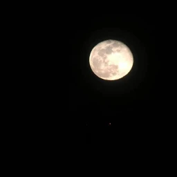 halfmoon astronomicalbody lunar moon moonlight standing earth freetoedit pcnighttimephotography nighttimephotography