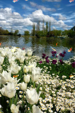 colorful flower nature gif❤spring beautiful...