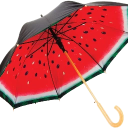 umbrella watermelon freetoedit fteumbrella