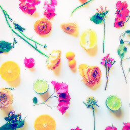 freetoedit flowers cute citrus background