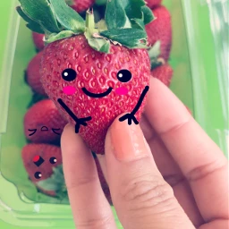 wapobjectemotions strawberry fresas kawaii yaminori