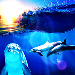 freetoedit remixchallenge remix dolphins california