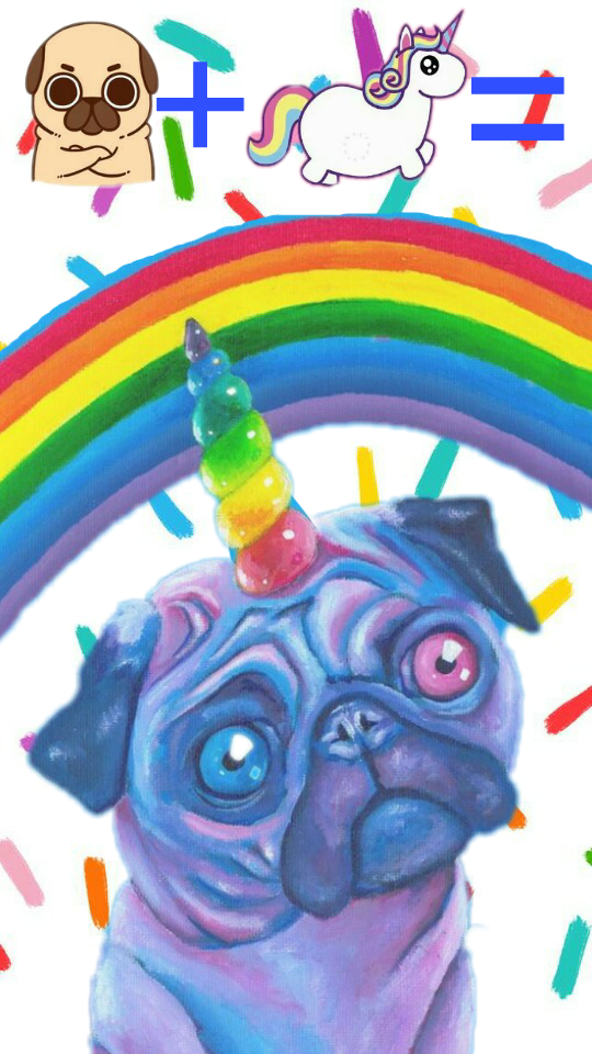 pugicorn teddy