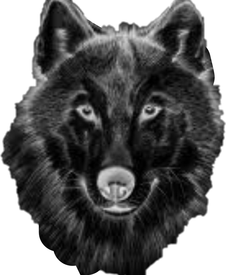 wolf freetoedit wolf sticker by aschenbrenner1