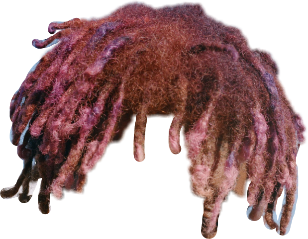 Dreadlocks Png 3024