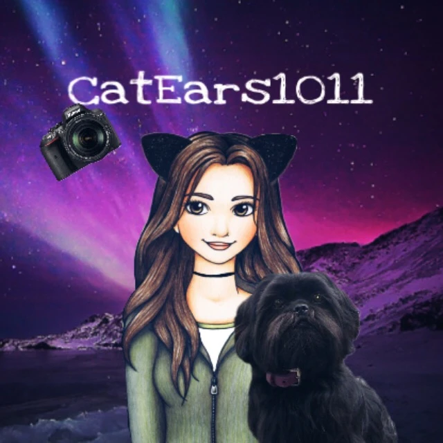 Freetoedit Pfp Profilepicture Dog Image By Catears1011