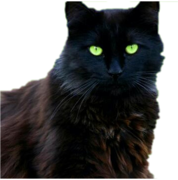 kys freetoedit kysfreetoedit sticker by martin20onepilots