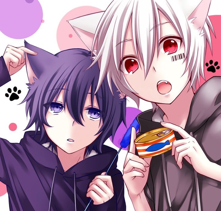 Not My Art Anime Animeboy Animecat Animeneko Neko Ne