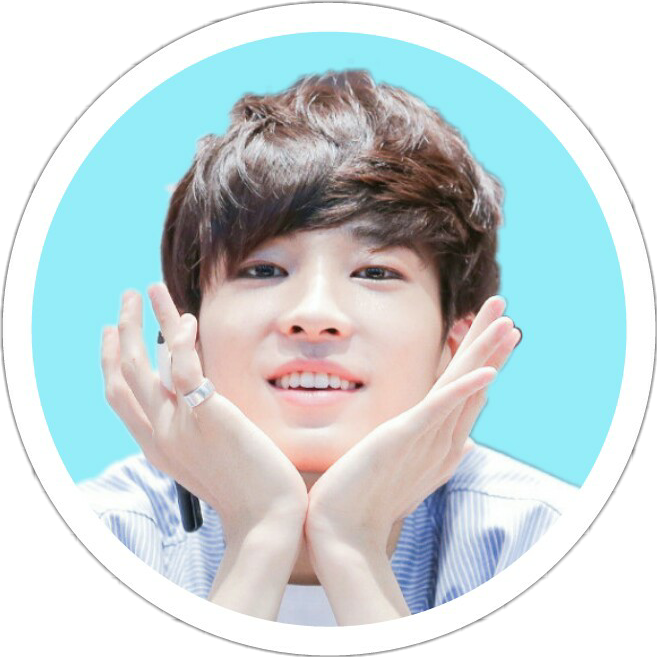 wonwoo seventeen  kpop  Sticker by feelingsofacat