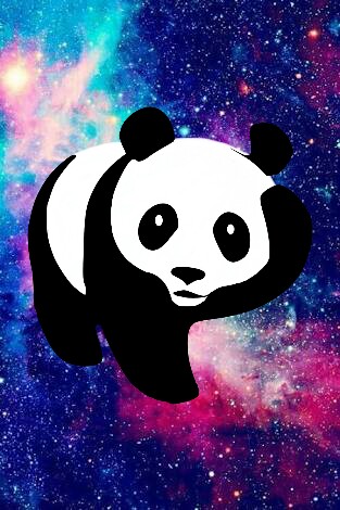 galaxy panda wallpaper laptop size
