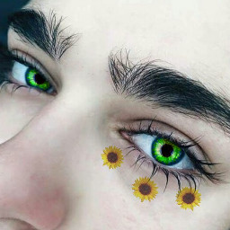 ojos fantastic girasol flor