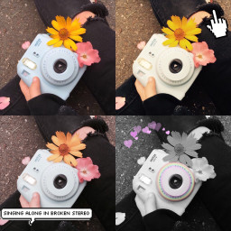 camera polaroid flowers aesthetic filters freetoedit