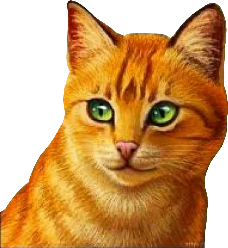 Firestar Warriorcats Feuerstern Cat Katze