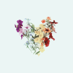 freetoedit fte flowers hearts nature ftebackground
