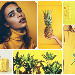 wapaestheticboard girl pineapple yellow macarons