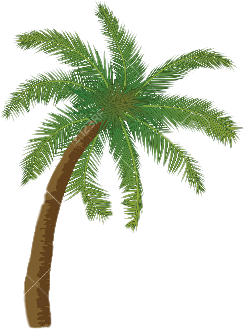 palmera freetoedit #palmera sticker by @irismarquezdeoliva