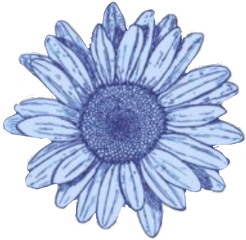 blue flower freetoedit