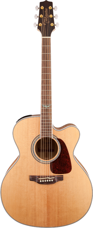 takamine g350