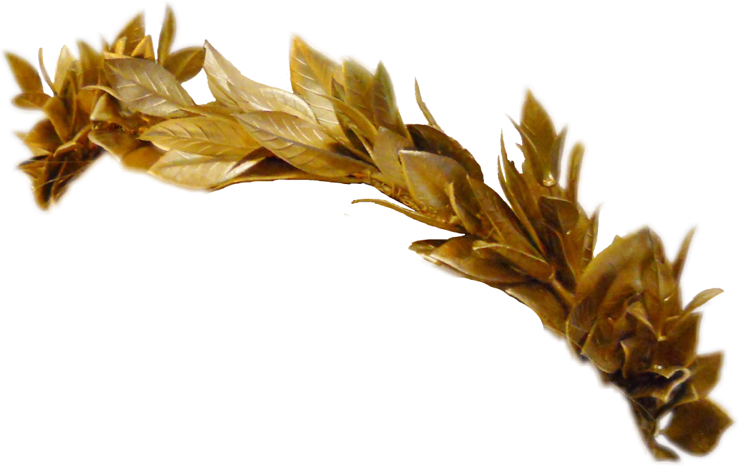 greek crown greekcrown leaves gold sticker by @darwin1sm.