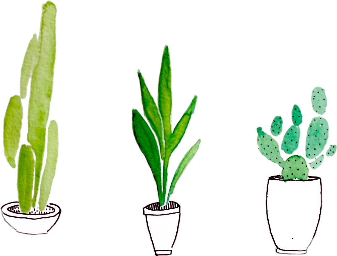 painting light hashtags Heni Iancu tumblr Sticker cactus  green plant  by