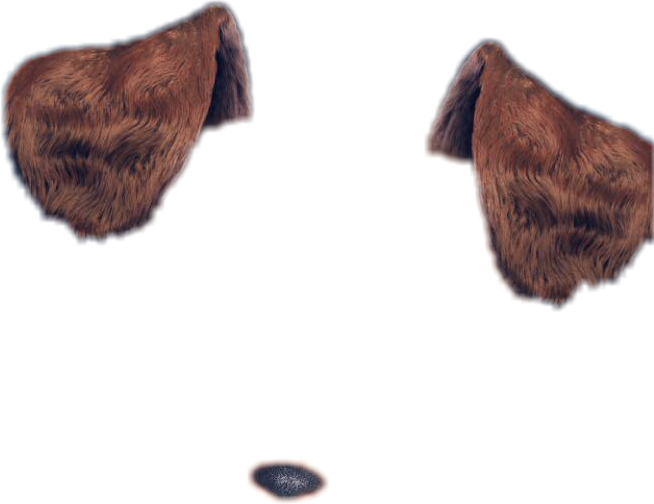 dogfilter puppy dog snapchat filter sticker by @natt3rs