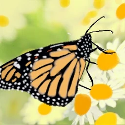 wdpbutterflies mariposa butterfly