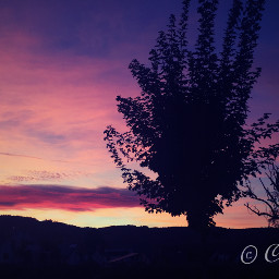 sunset purple shilouette tree clouds