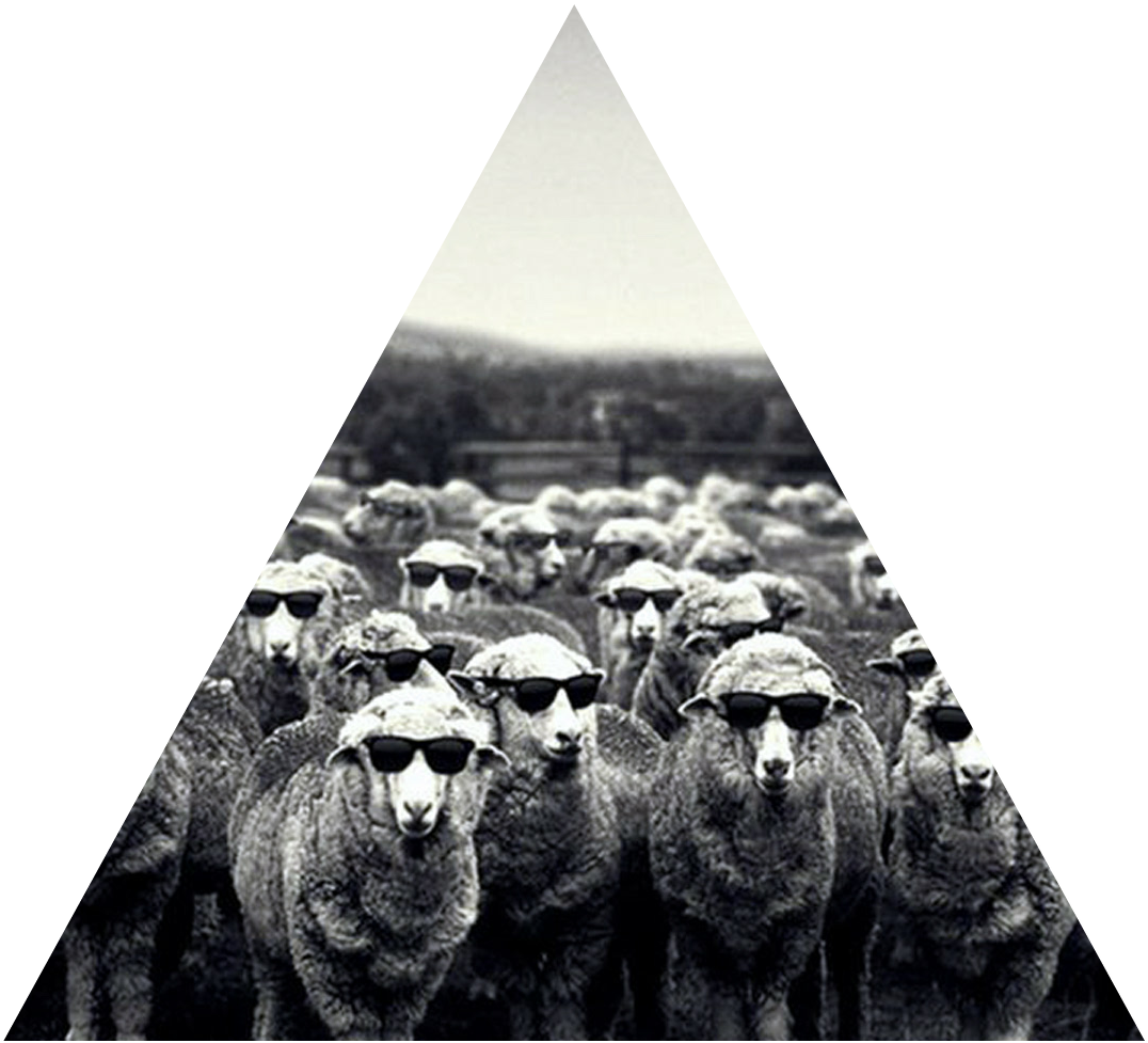 sheepish-freetoedit-sheepish-sticker-by-jordan-verner-96