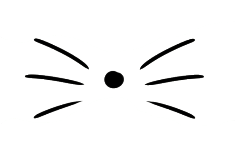 Картинка усы кота
