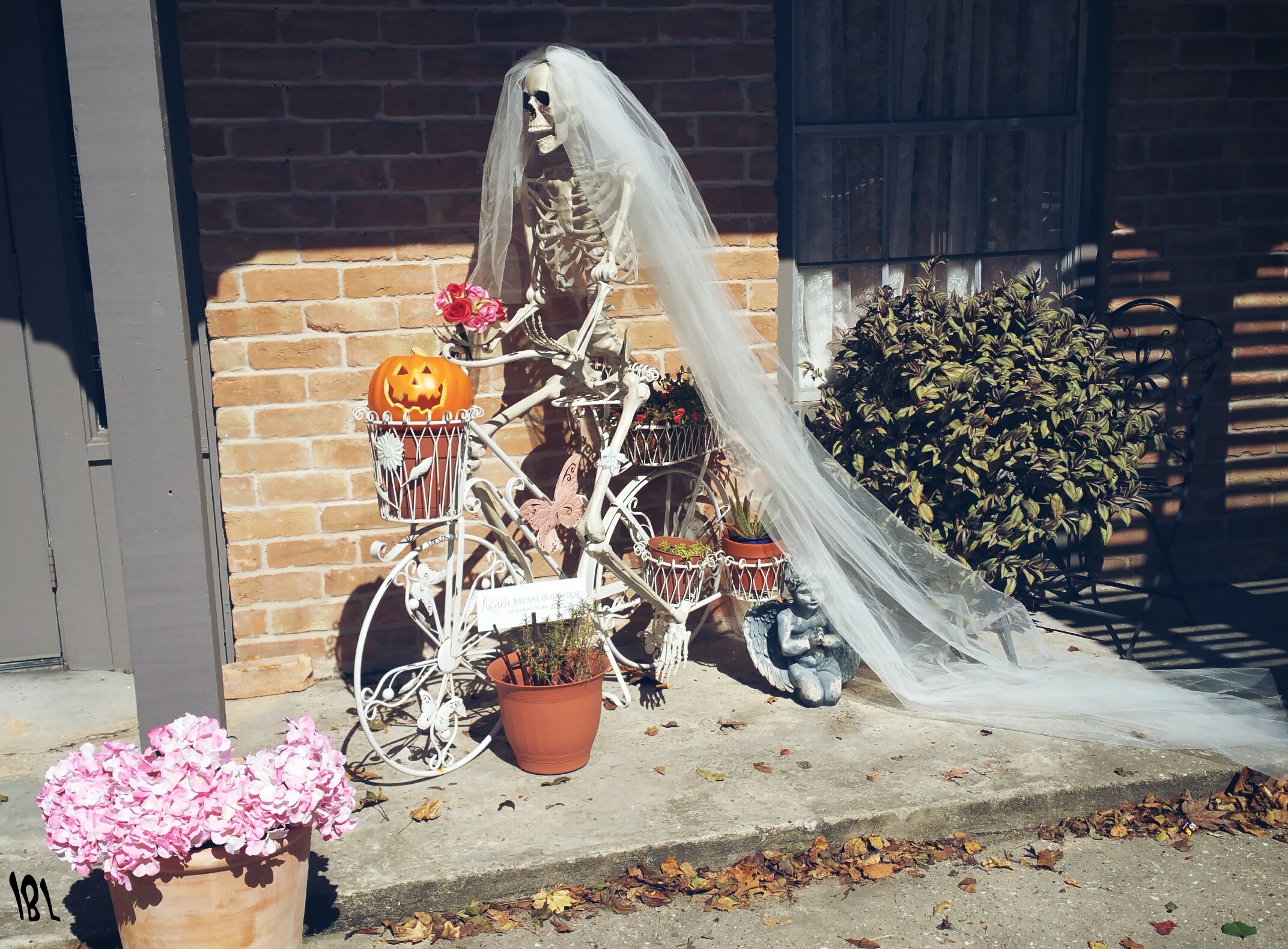 Скелет невесты в ожидании