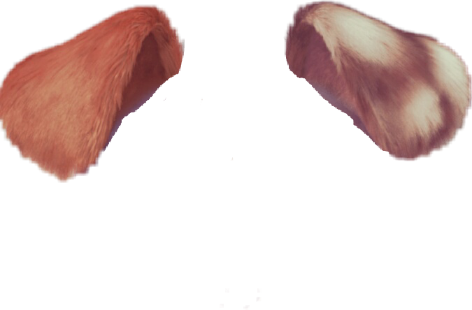 snapchatfilter dog ears cute sticker by @7dorksruinedmylife
