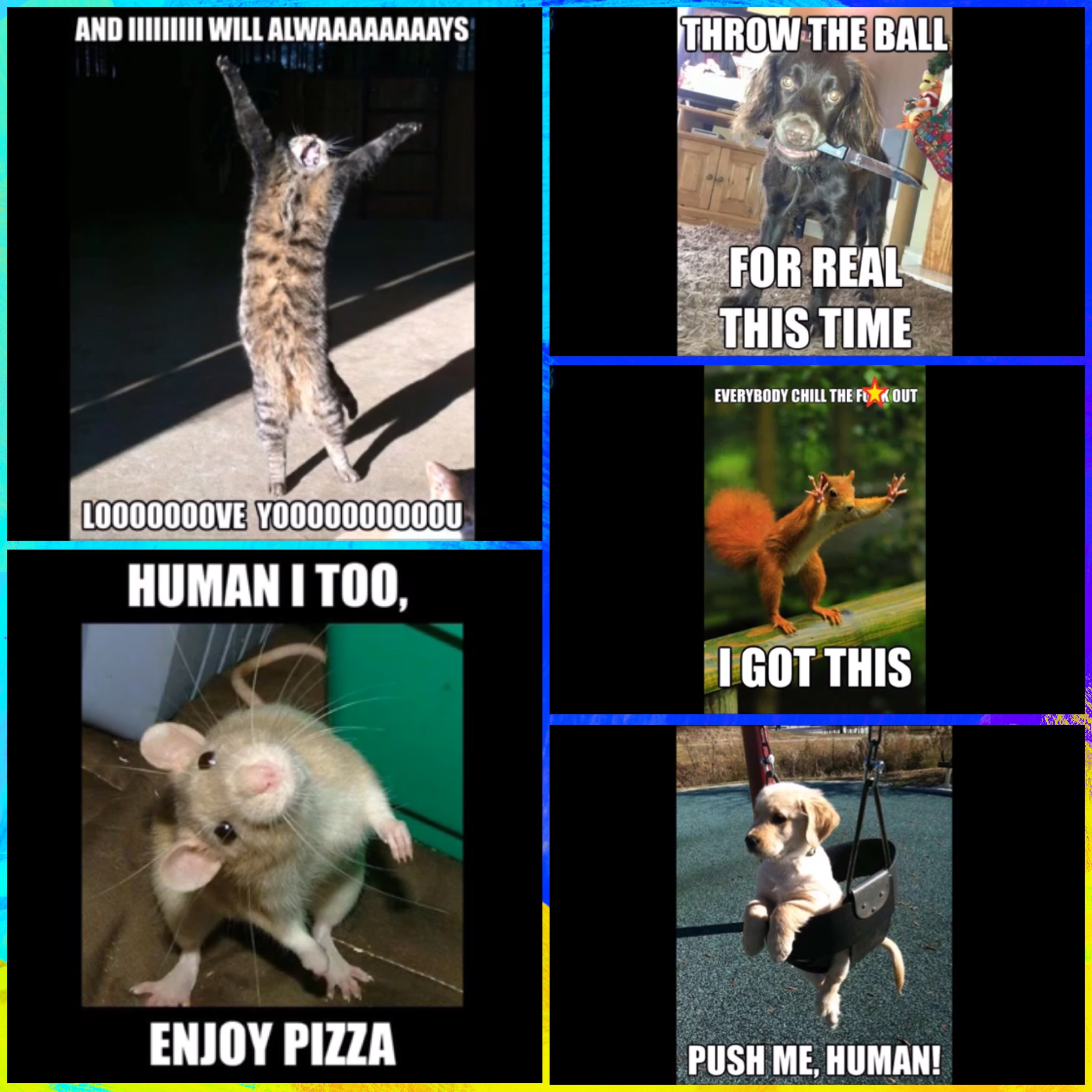 See I💖💖💖💖💖anime+kawaii Profile and Image Collections on PicsArt