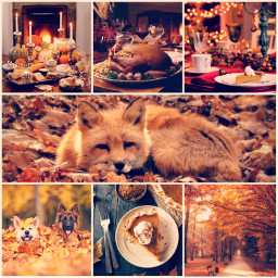 thanksgiving food fox autumn freetoedit