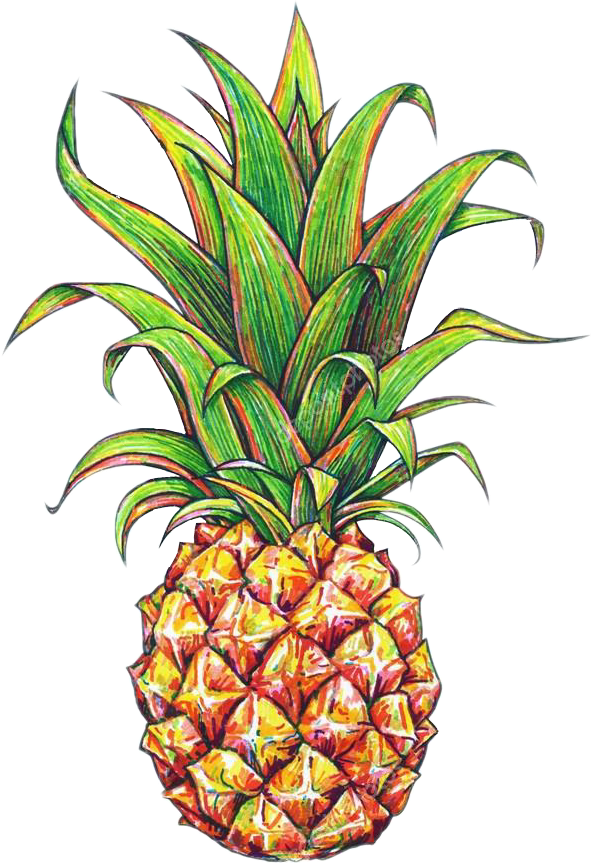 tumblr fruit picsart pineapple🍍 sticker by @leonz666