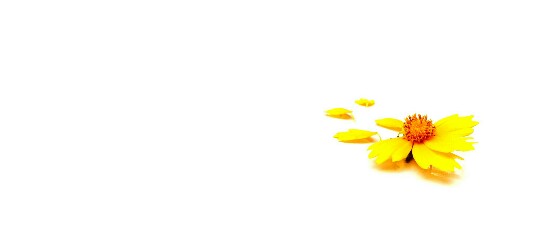 Picsart banner for @keerthi